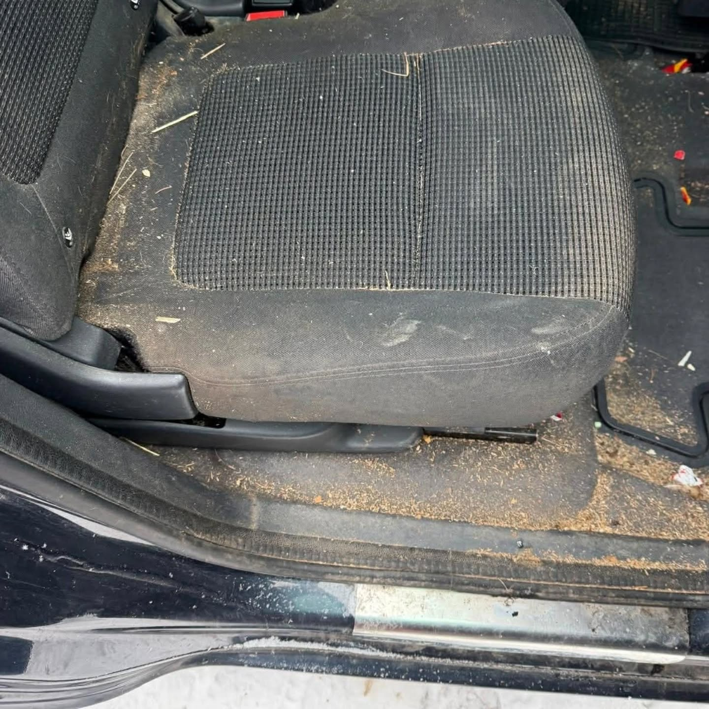 Nešvari automobilio sėdynė ir slenkstis prieš valymą